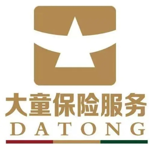 大童保险